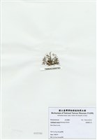 藏品(匍匐擬石花)的圖片